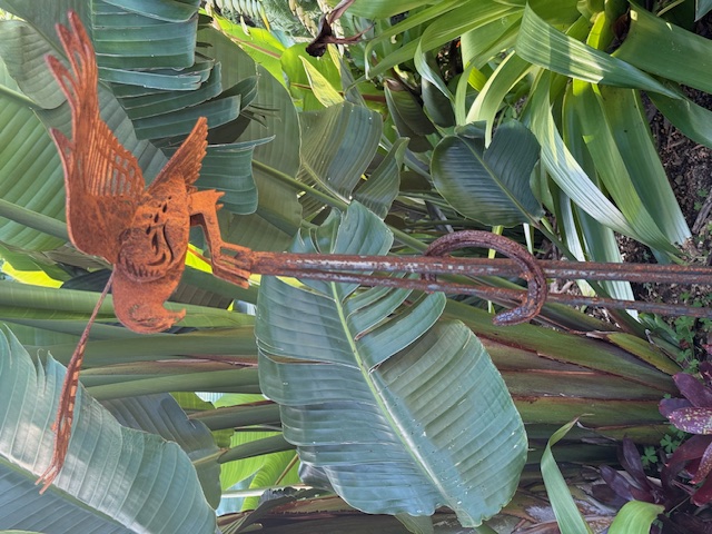 images/RS KAHU3.jpeg